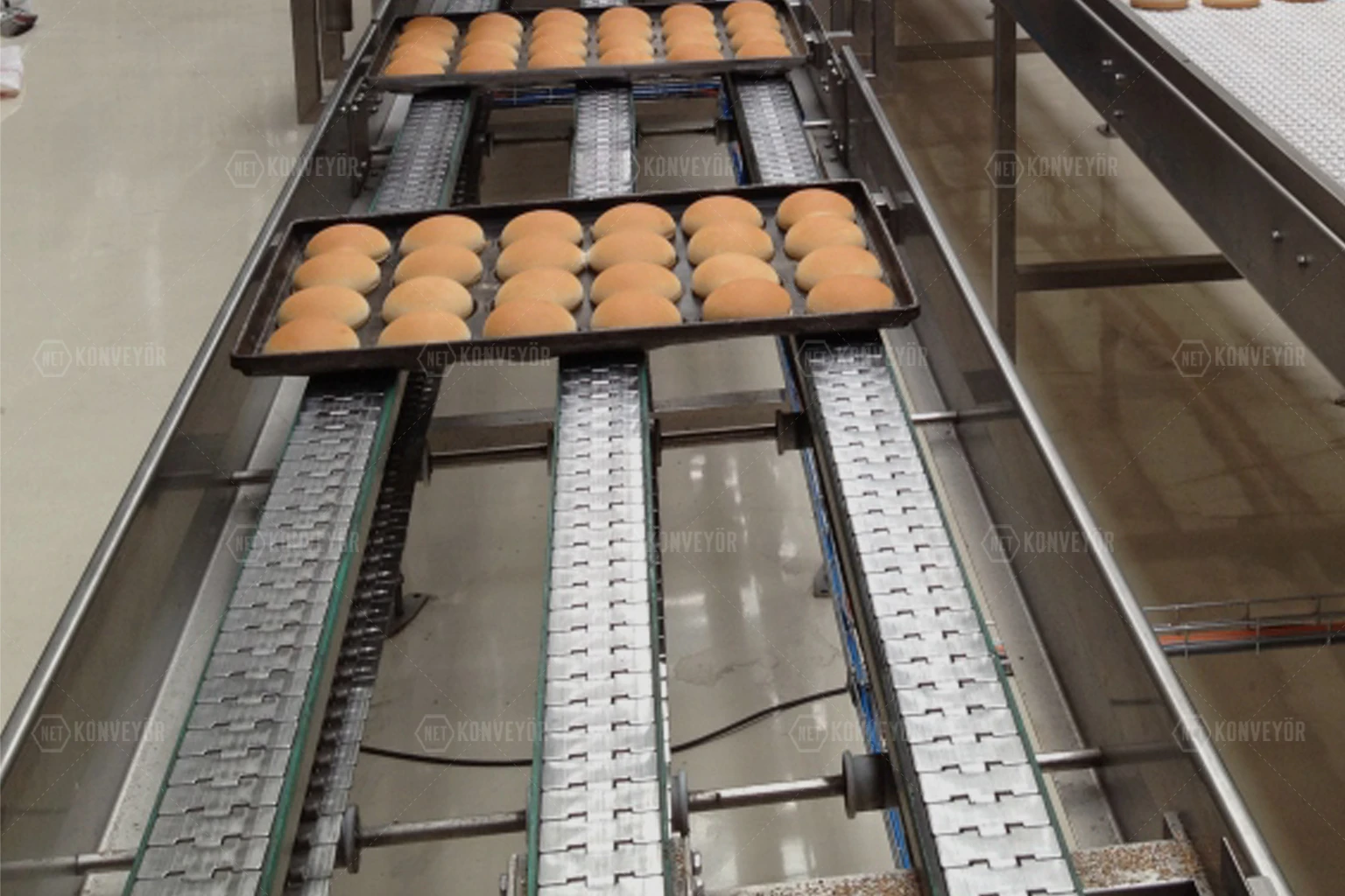 Hygienic & Food Industry Conveyor Systems