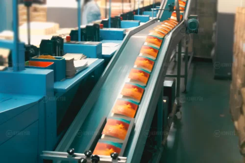 Printing Industry Conveyor Systems
