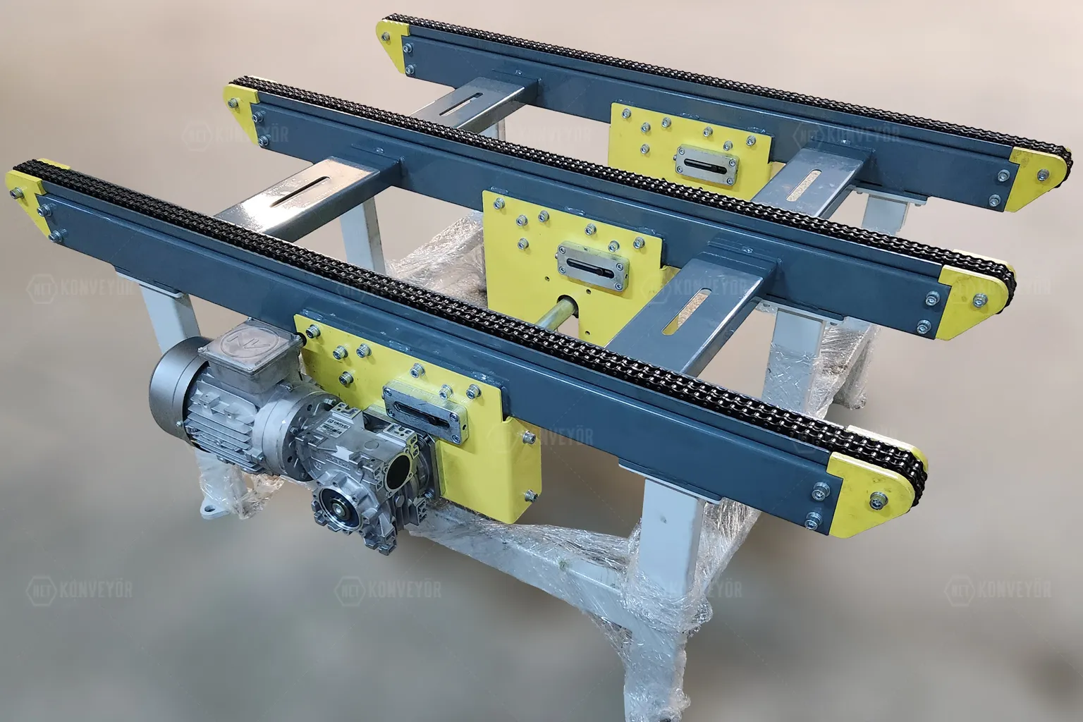Chain Conveyor